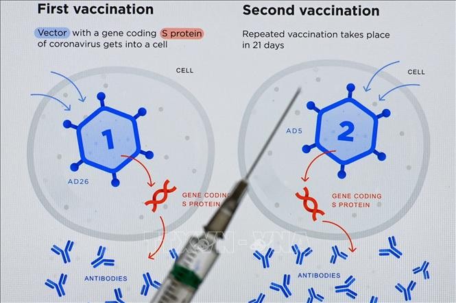 Vaccine Sputnik V phòng COVID-19 của Nga. Ảnh: AFP/TTXVN