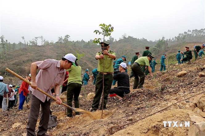 Lực lựơng Kiểm lâm tỉnh Hòa Bình hỗ trợ trồng cây. Ảnh: Thanh Hải - TTXVN
