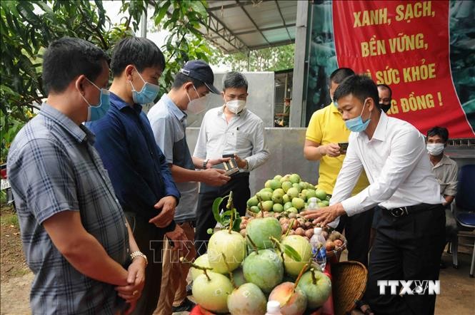 Các đại biểu tìm hiểu sản phẩm nông sản của huyện Yên Châu, tỉnh Sơn La. Ảnh: Quang Quyết-TTXVN