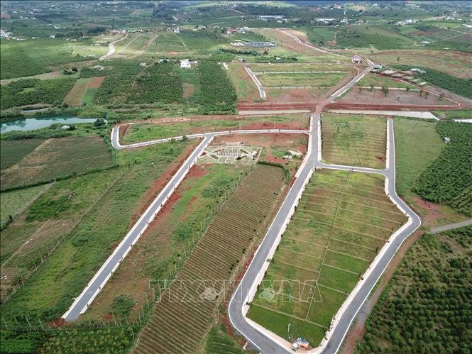 Khu "dự án" 36 ha ở xã ĐamB’ri đã bị làm đường, phân lô và đang rao bán nền. Ảnh: Quốc Hùng- Nguyễn Dũng - TTXVN
