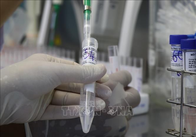 Công đoạn gộp mẫu nâng công suất xét nghiệm tại tủ an toàn sinh học tại phòng nhận và xử lý mẫu tại CDC Phú Yên. Ảnh: Phạm Cường-TTXVN