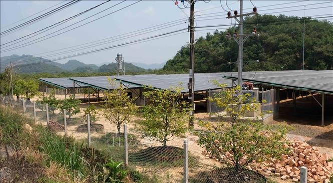 Một công trình điện mặt trời áp mái kết hợp phát triển trang trại nông nghiệp bên dưới trên địa bàn huyện Đạ Tẻh. Ảnh: Nguyễn Dũng – TTXVN