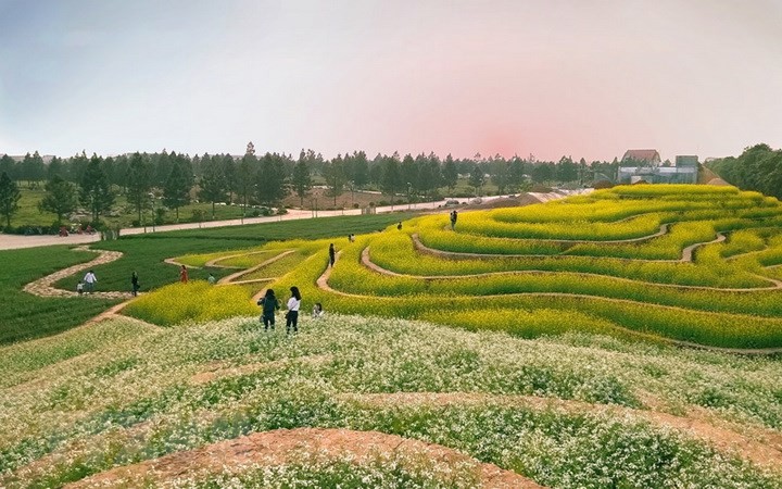 Du lịch nông nghiệp, lợi ích kép của Hà Nội