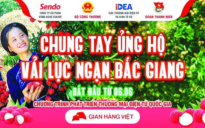 Vải thiều Bắc Giang được phân phối trên các sàn thương mại điện tử lớn tại Việt Nam như Sendo, Voso, Tiki, Shopee, Postmart… với giá ưu đãi và chuyển phát nhanh toàn quốc thông qua “Gian hàng Việt trực tuyến quốc gia”. Ảnh: Danh Lam – TTXVN