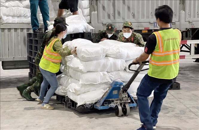 Ngày 10/9, tại kho đầu mối Bình Điền, Thành phố Hồ Chí Minh tiếp nhận 60 tấn gạo do tỉnh Thái Bình tặng. Ảnh: Xuân Khu-TTXVN