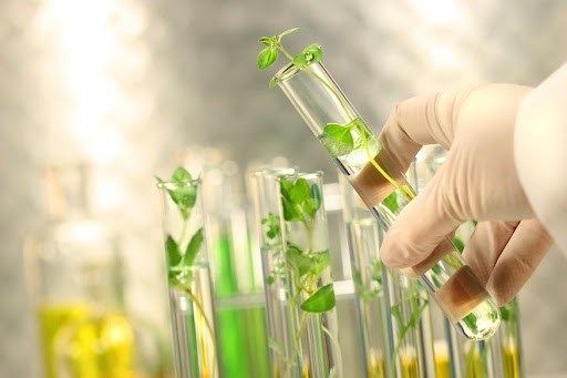 Phê duyệt Đề án “Phát triển công nghiệp sinh học ngành công thương đến năm 2030”