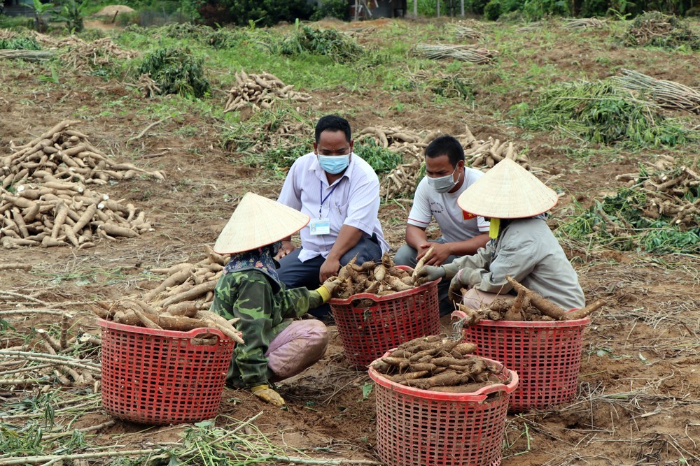 Đảng viên nắm tình hình sản xuất tại thôn, làng. Nguồn: baokontum.com.vn