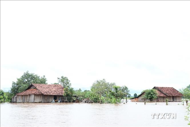 Nhiều nhà dân ở xã Cư Kbang, huyện Ea Súp bị ngập sâu trong nước lũ. Ảnh: Tuấn Anh – TTXVN
