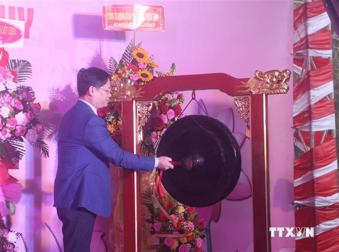 Đại diện lãnh đạo tỉnh Thừa Thiên - Huế thực hiện nghi thức khởi công dự án. Ảnh: Trần Lê Lâm - TTXVN
