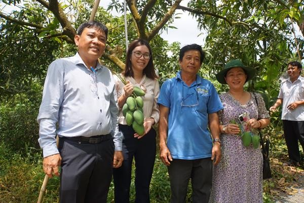 Cán bộ Cục Bảo vệ thực vật và cán bộ, nông dân kiểm tra các vùng trồng xoài tại An Giang. Ảnh: ppd.gov.vn

