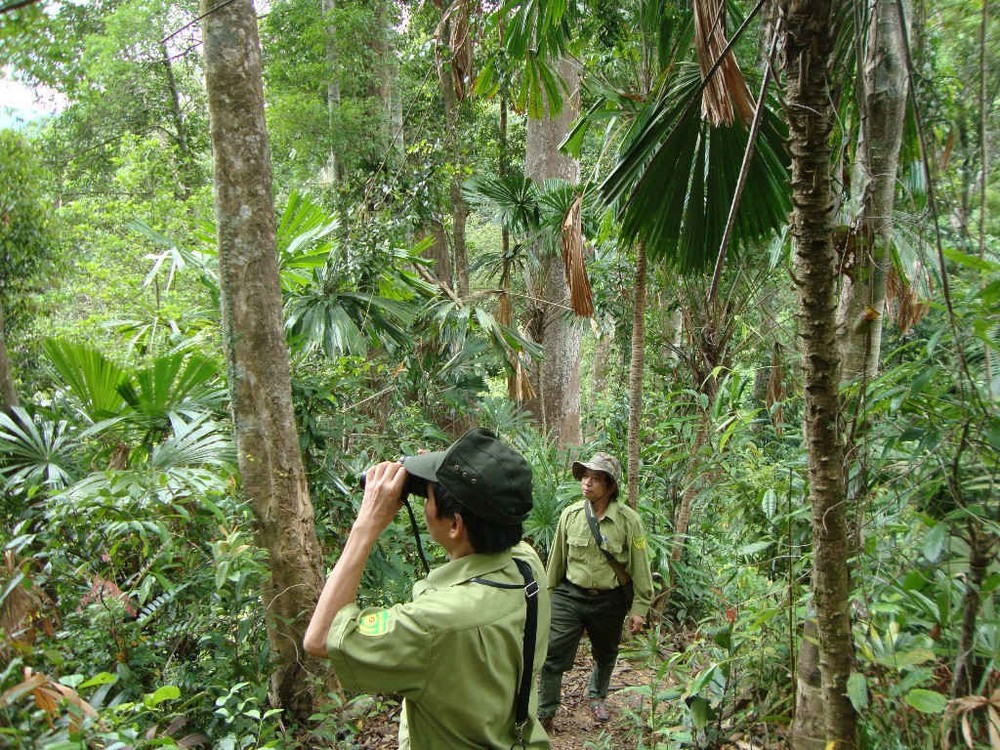Đắk Lắk tăng cường công tác quản lý, bảo vệ và phát triển rừng