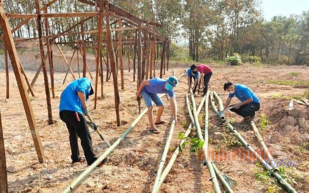 Đoàn viên thanh niên xã Lộc Tấn (huyện Lộc Ninh) hỗ trợ xây dựng chuồng trại nuôi nhốt gia súc cho người dân. Ảnh: bptv.vn