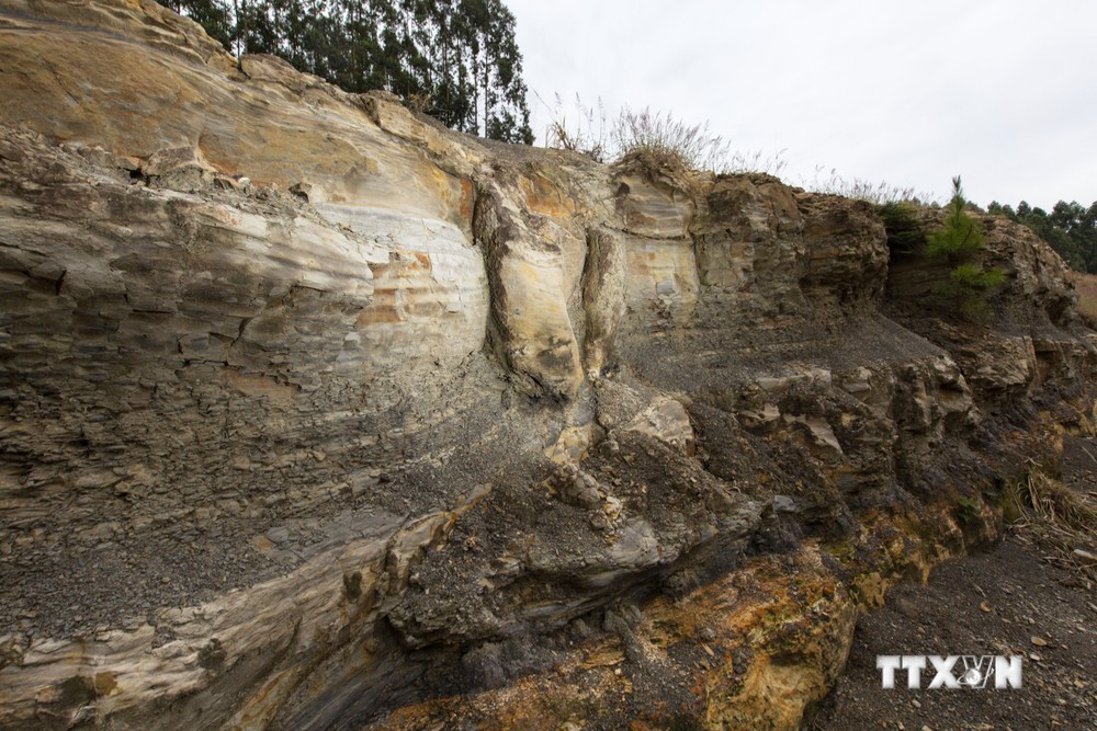 Khu rừng hóa thạch ở Ortigueira, bang Paraná, miền nam Brazil, ngày 15/6/2022. Ảnh: AFP/ TTXVN