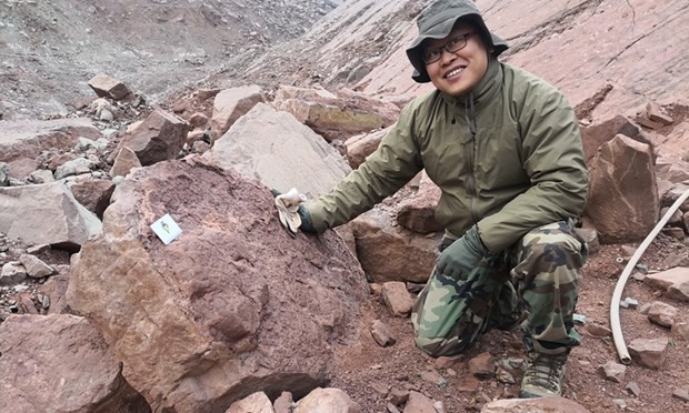Trung Quốc phát hiện 8 tấn hóa thạch khủng long trưởng thành ở Cám Châu