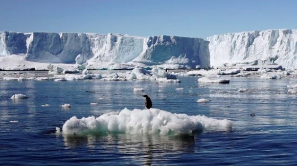 Các vùng nước ấm đe dọa môi trường tại Nam Cực