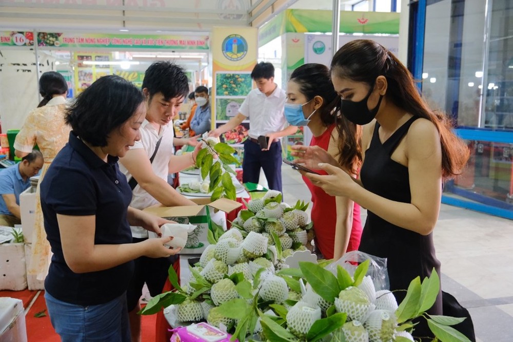 Na Lạng Sơn thu hút sự quan tâm của người tiêu dùng Thủ đô. Ảnh: bnews.vn