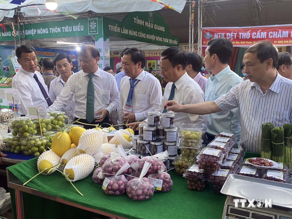 Lãnh đạo Bộ Công Thương và tỉnh Ninh Thuận tham quan gian hàng sản phẩm nông nghiệp các tỉnh triển lãm tại hội chợ. Ảnh: Công Thử - TTXVN