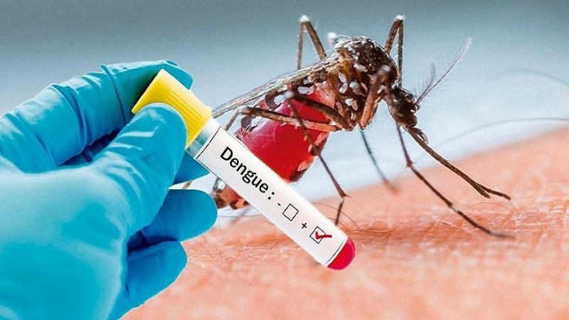 Gia Lai chủ động ứng phó với sốt xuất huyết Dengue