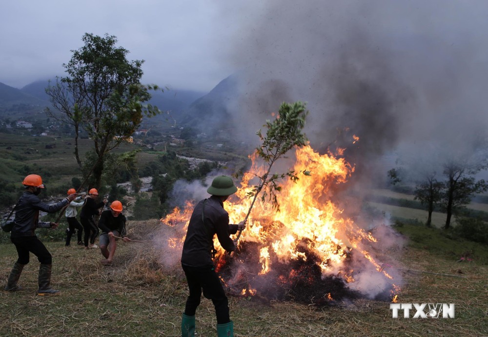 Lực lượng dân quân cùng người dân tham gia diễn tập dập lửa tại khu rừng của bản 46 (xã Sơn Bình, huyện Tam Đường, tỉnh Lai Châu) tháng 11/2021. Ảnh: Quý Trung – TTXVN
