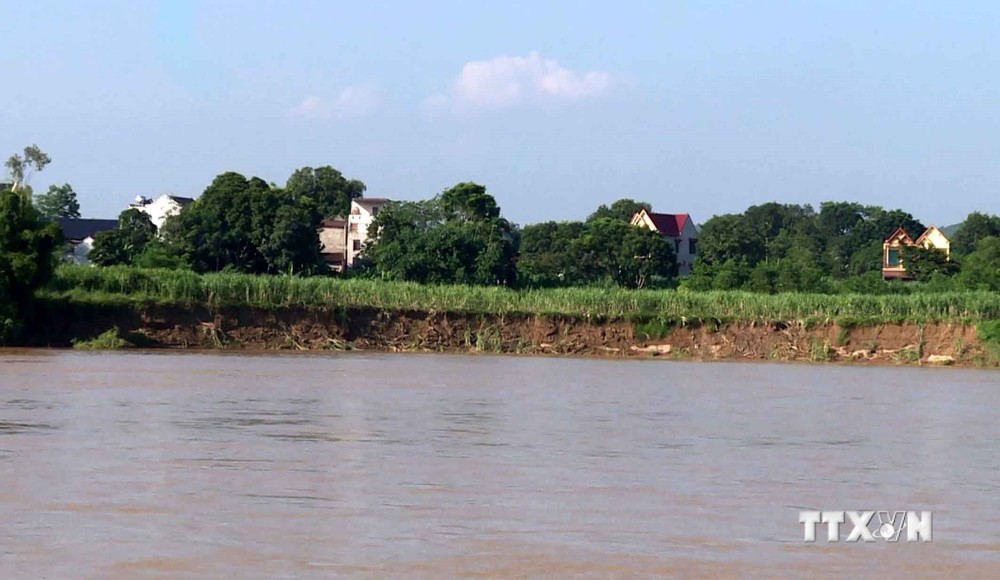 Nhiều diện tích đất bãi bồi ven bờ sông Mã đoạn qua xã Cẩm Vân, huyện Cẩm Thủy, tỉnh Thanh Hóa bị sạt lở. Ảnh: Nguyễn Nam-TTXVN