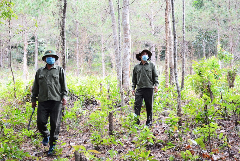 Gia Lai kiến nghị điều chỉnh chế độ đãi ngộ, cải thiện môi trường làm việc cho lực lượng bảo vệ rừng