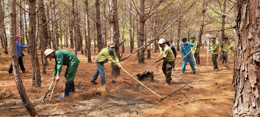 Gia Lai: Nâng cao trách nhiệm cộng đồng trong phòng, chống cháy rừng mùa khô