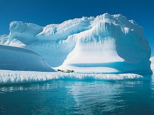 Băng biển Bắc Cực giảm ​có liên quan đến hiện tượng thời tiết cực lạnh