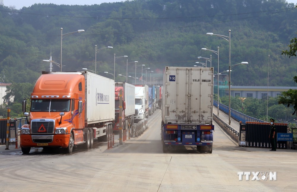 Xe chở quả vải tươi chờ làm thủ tục tại Cửa khẩu quốc tế đường bộ số II Kim Thành xuất khẩu sang Trung Quốc. Ảnh: Quốc Khánh - TTXVN