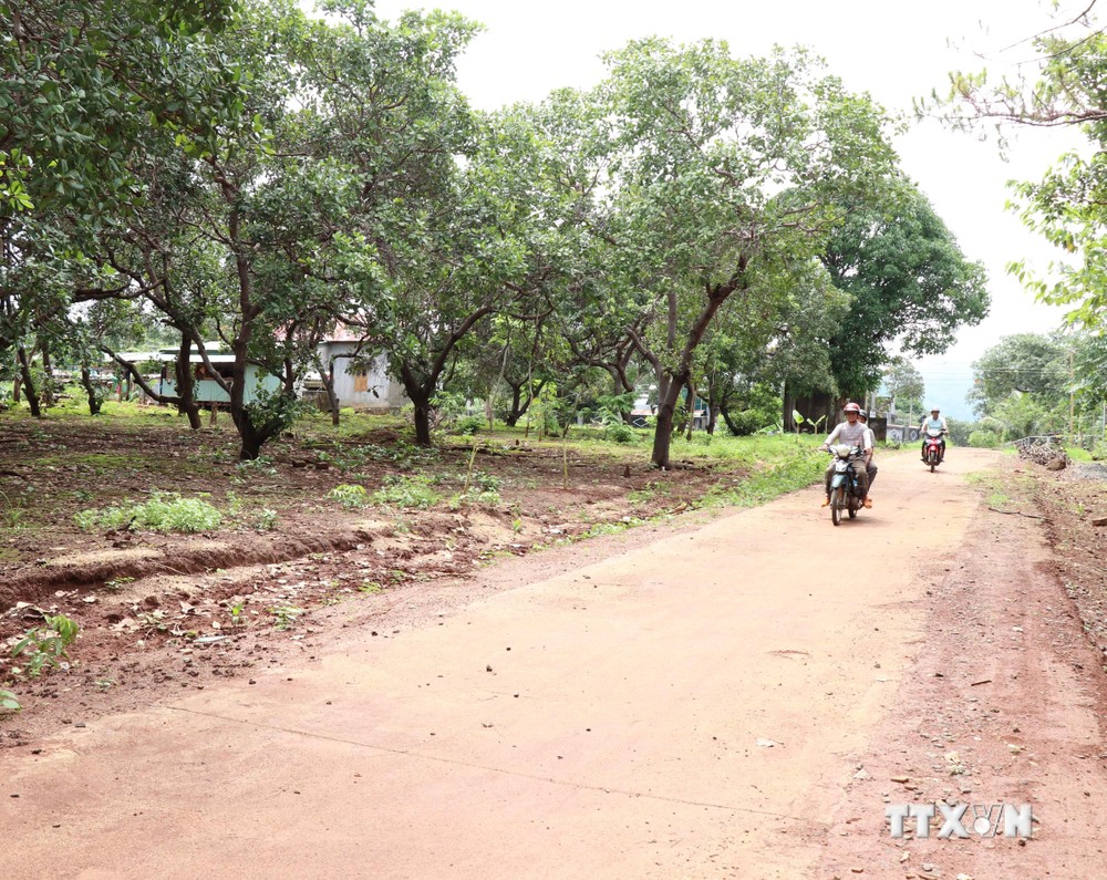 Đường bê tông làng Nú, xã Ia Khai, huyện Ia Grai (Gia Lai). Ảnh: Hồng Điệp - TTXVN
