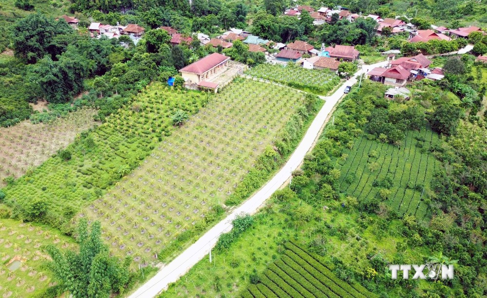 Thuận Châu đẩy mạnh Chương trình mục tiêu quốc gia giảm nghèo bền vững