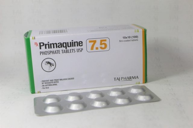 Hiệu quả của sử dụng thuốc chống sốt rét primaquine liều cao