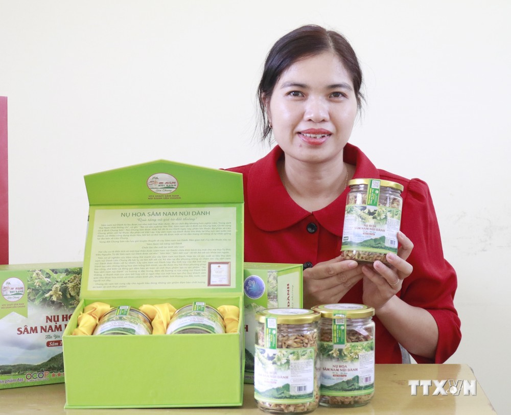 Chị Nguyễn Thị Kim Dung với các sản phẩm từ sâm Nam của Hợp tác xã. Ảnh: Đồng Thúy-TTXVN