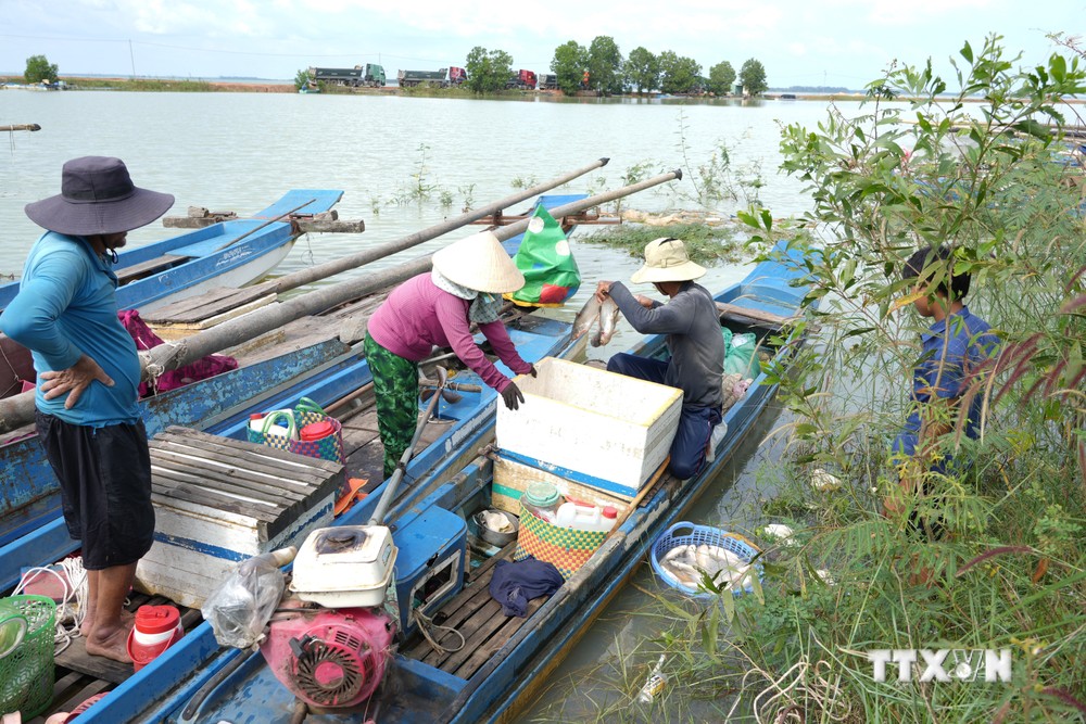 Người dân đánh bắt cá trên Hồ Dầu Tiếng bất chấp lệnh cấm trong mùa thả cá giống