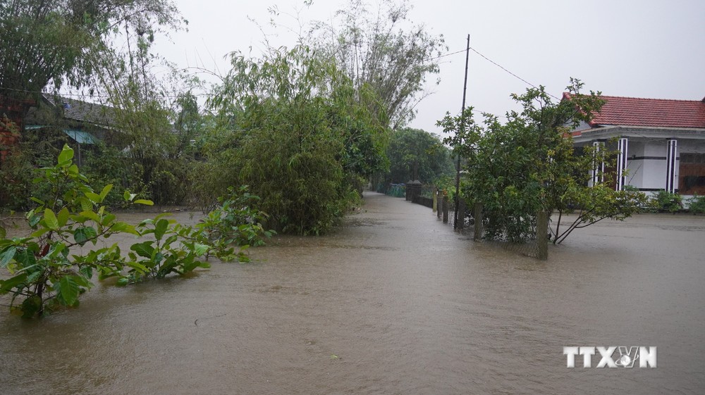 Quảng Trị: Lũ sông Ô Lâu lên gần báo động 3, hơn 900 nhà dân bị ngập