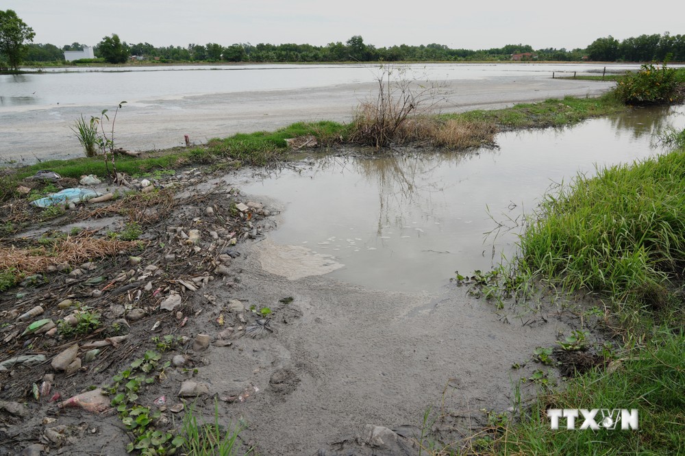 Người dân bức xúc vì nước thải xả thẳng vào con rạch đổ ra sông Vàm Cỏ Đông, gây ô nhiễm môi trường