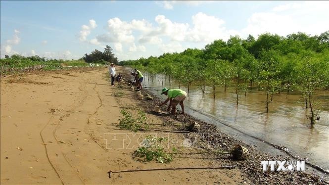 Trà Vinh sản xuất hiệu quả hơn 8.000 ha rừng - thủy sản