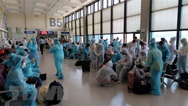 新冠肺炎疫情：将在新加坡的240多名越南公民接回国