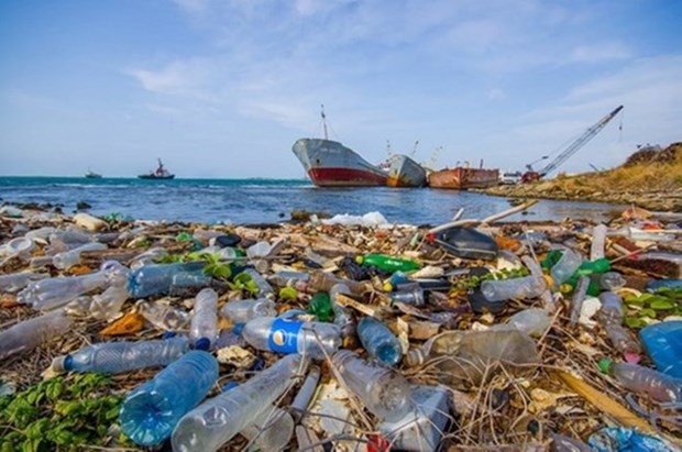 推广减少塑料垃圾污染的倡议和措施