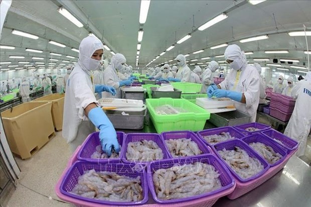 越南有望成为世界虾类主要生产国