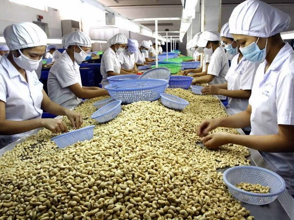 土耳其成为越南农产品的潜在出口市场