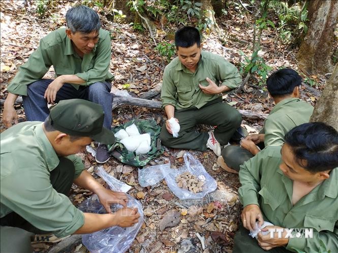 Với địa hình hiểm trở, địa bàn rộng lực lượng quản lý bảo vệ rừng của Công ty TNHH MTV Lâm nghiệp Krông Bông (huyện Krông Bông) gặp nhiều khó khăn trong đảm bảo các điều kiện ăn, ở. Ảnh: Tuấn Anh - TTXVN
