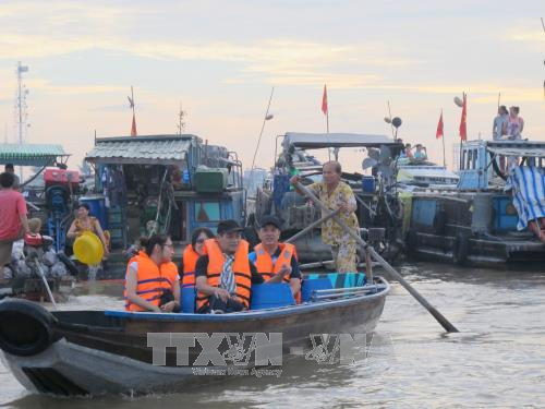Các tour du lịch đường sông tham quan chợ nổi Cái Răng, Cần Thơ thu hút đông du khách. Ảnh: Thanh Sang/TTXVN