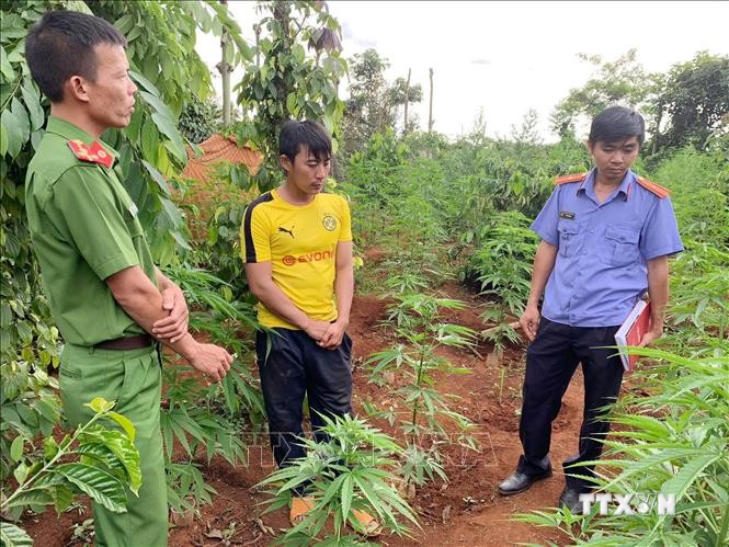 Đối tượng Nguyễn Văn Minh (áo vàng) làm việc với lực lượng công an. Ảnh: TTXVN phát