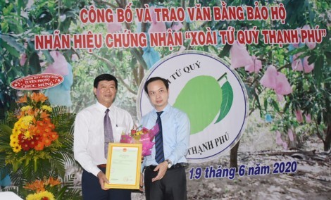 Ông Trần Giang Khuê trao văn bằng bảo hộ cho huyện Thạnh Phú.Ảnh: baodongkhoi.vn