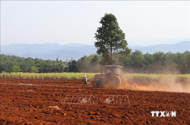 Nông dân Phú Yên sử dụng máy móc làm đất trồng mía giúp giảm ngày công lao động. Ảnh: Phạm Cường-TTXVN