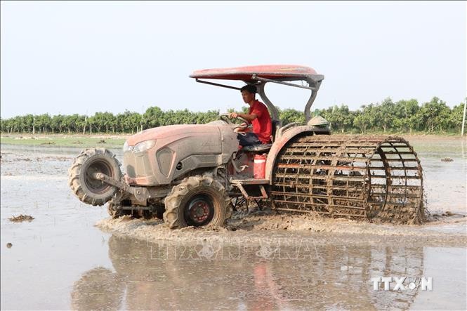 Đồng Tháp đưa máy cày vào làm đất sản xuất lúa. Ảnh: Nguyễn Văn Trí- TTXVN