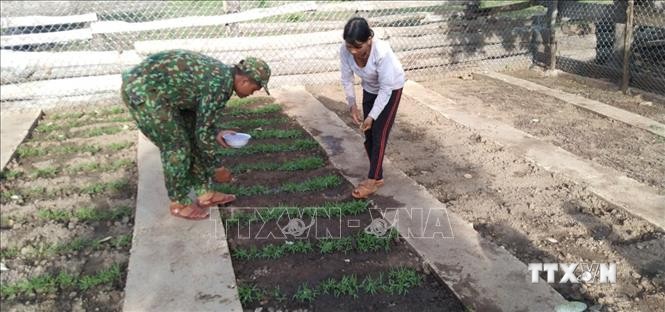 Các chiến sĩ Tiểu đoàn Huấn luyện cơ động, Bộ chỉ huy Biên phòng tỉnh Gia Lai hướng dẫn người dân kiến thức trồng trọt. Ảnh: TTXVN phát