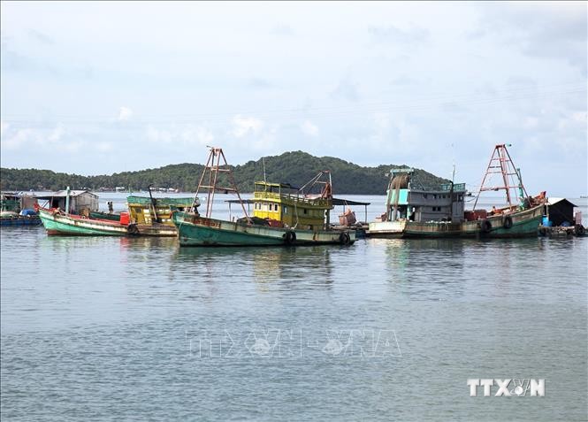 Tàu cá trên vùng biển thành phố Hà Tiên. Ảnh: Hồng Đạt - TTXVN