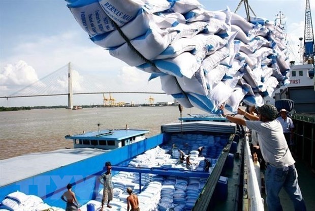 Năm 2019, Việt Nam đã xuất khẩu gạo sang 35 trên tổng số 55 quốc gia châu Phi. Ảnh: TTXVN.