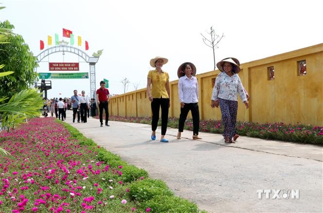 Tuyến đường kiểu mẫu tại xã Hải Tây (Hải Hậu, Nam Định). Ảnh: Văn Đạt - TTXVN
